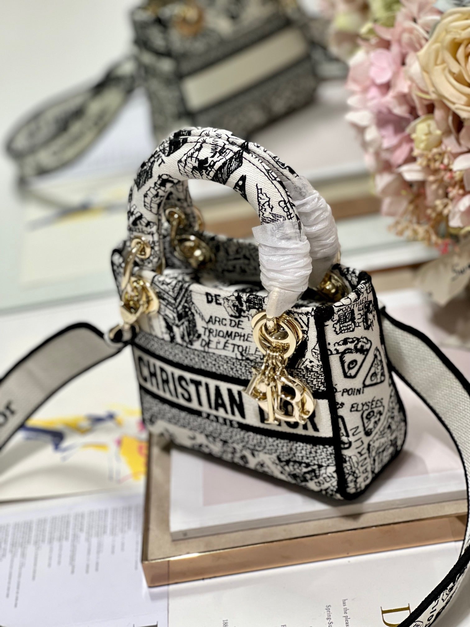 CD Paris White 17 Lady Dior Bag Canvas 336756