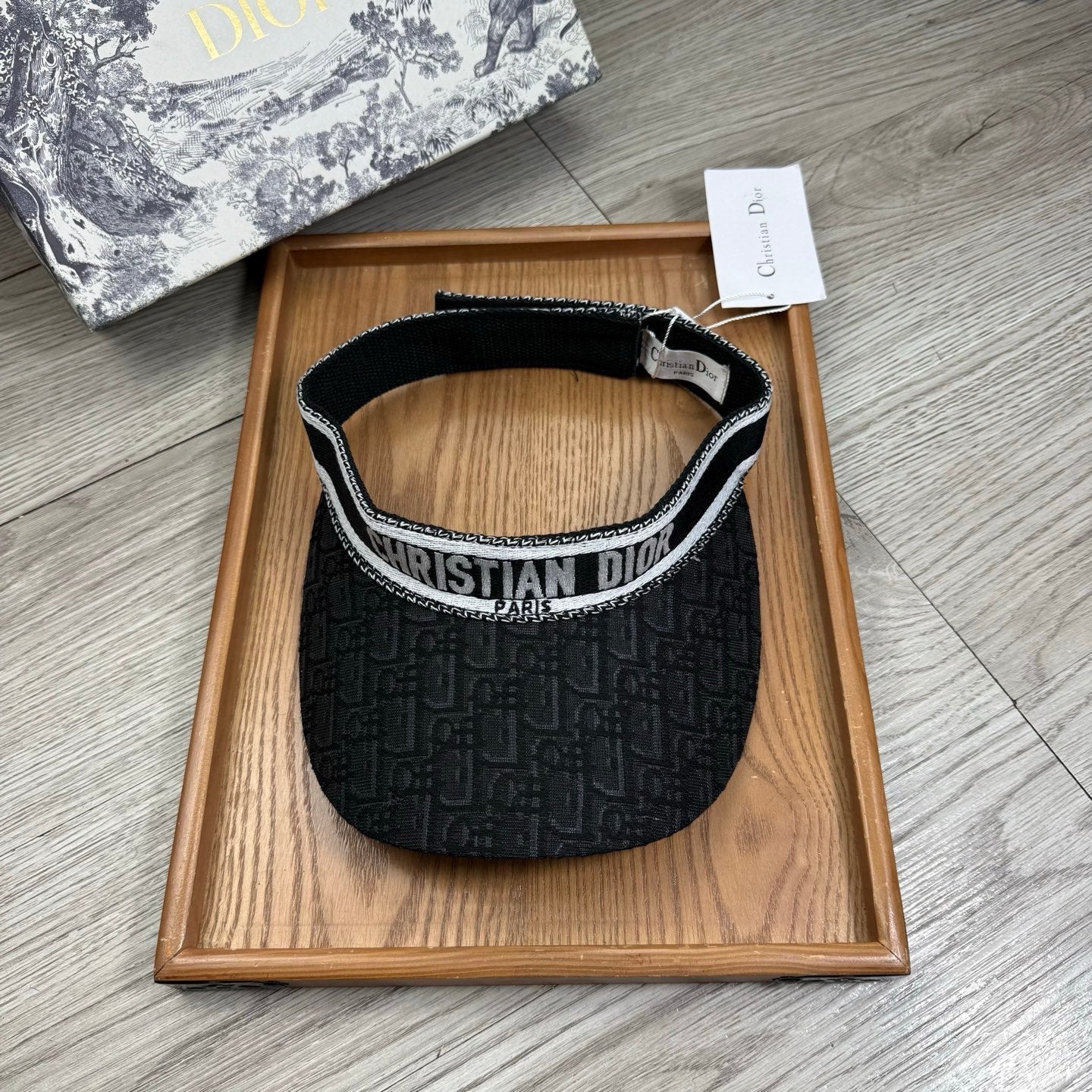 Dior Oblique D-Bobby Visor Cap 240593