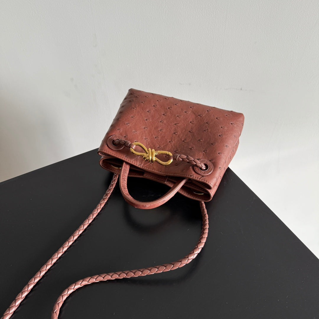 Bottega Veneta 2026 Andiamo Bag 20.5cm Sapele Ostrich Leather