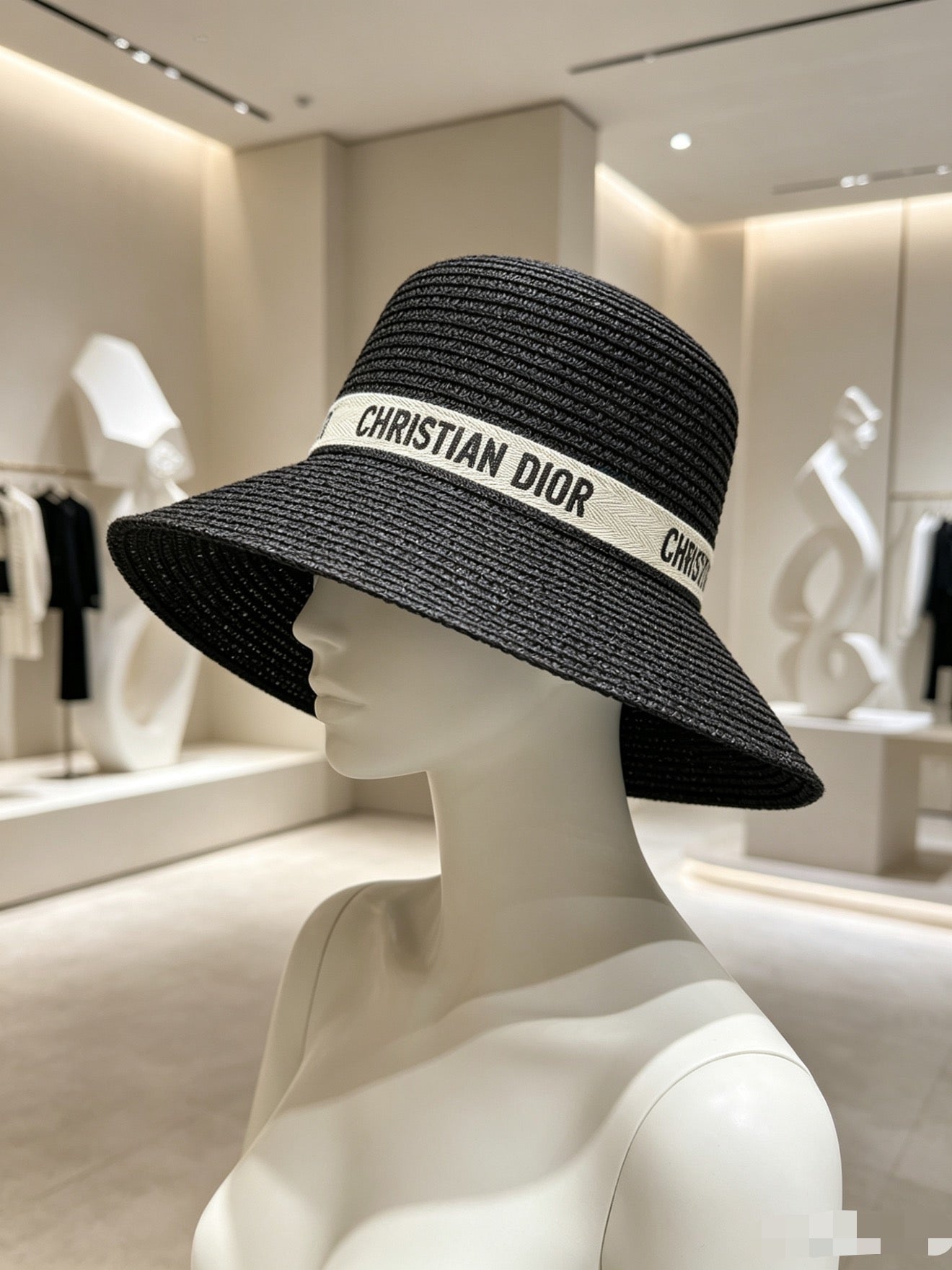 Dior Wide Brim Straw Hat 280801