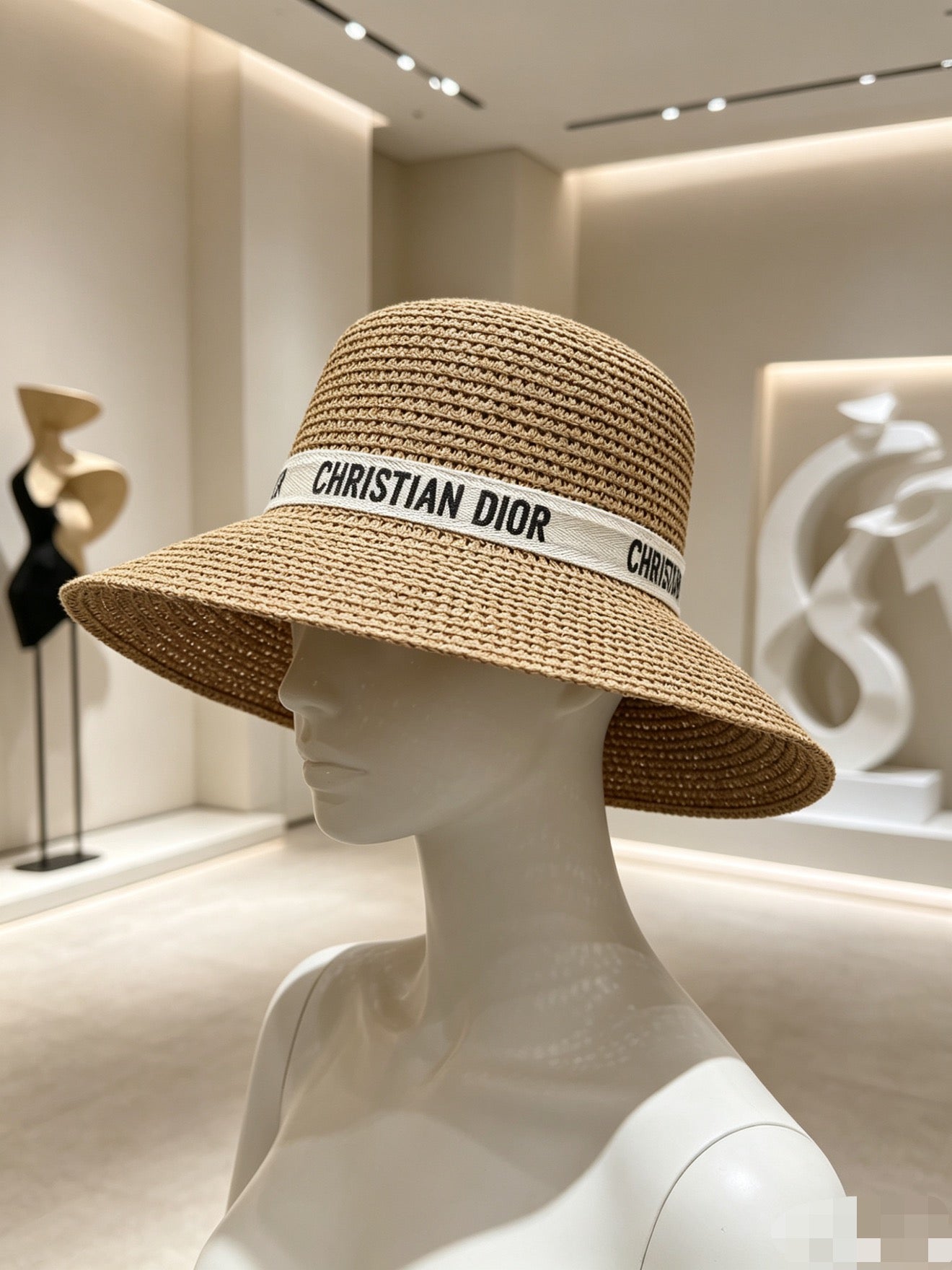 Dior Wide Brim Straw Hat 280801