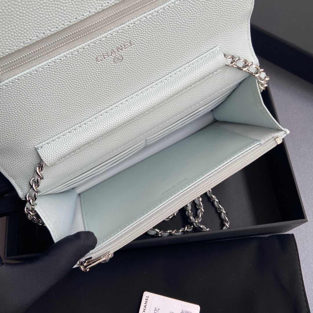 CC Woc 20cm Light Green Grained Calfskin Silver Hardware