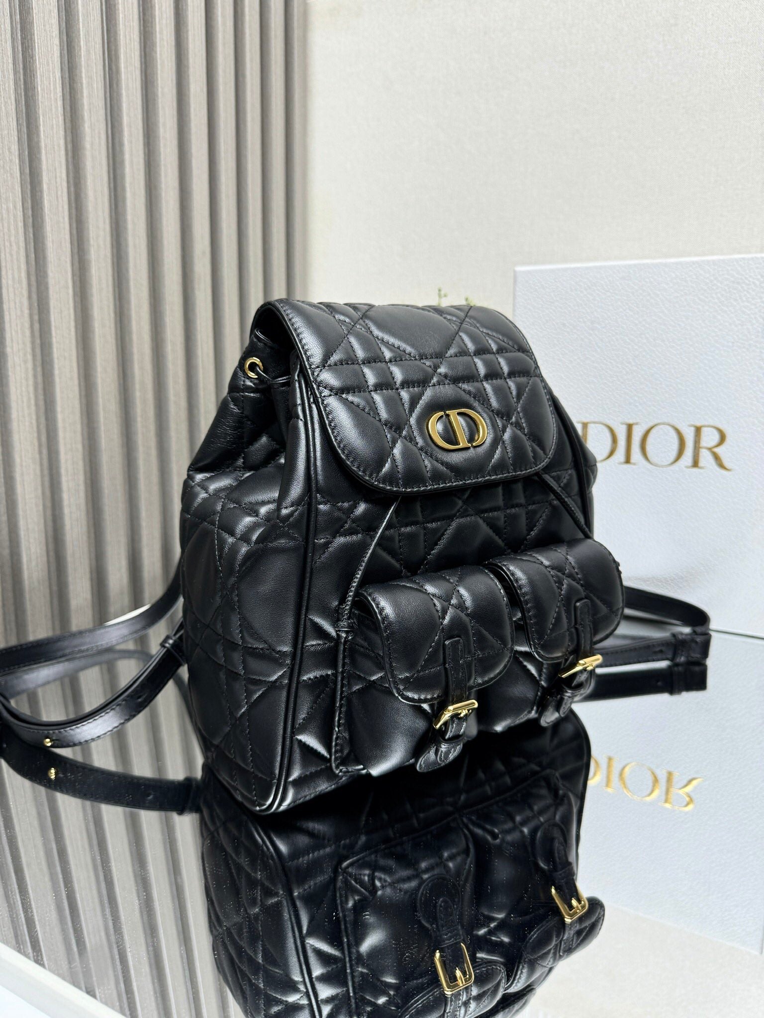 Dior 2026 Caro Backpack Lambskin